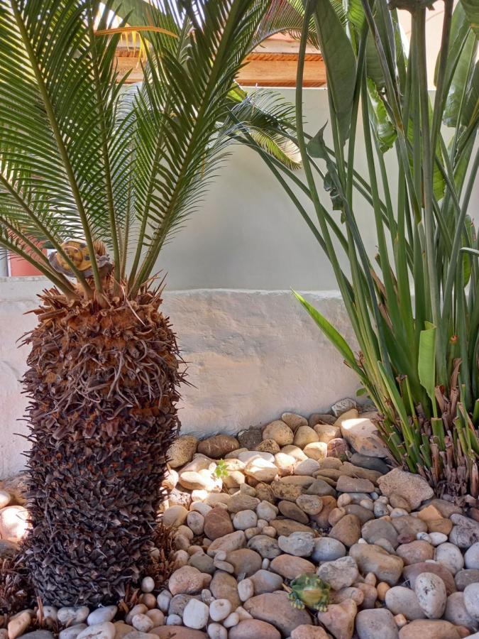 Ferienwohnung Alexandros Cosy House For Family Vacation Chania  Exterior foto